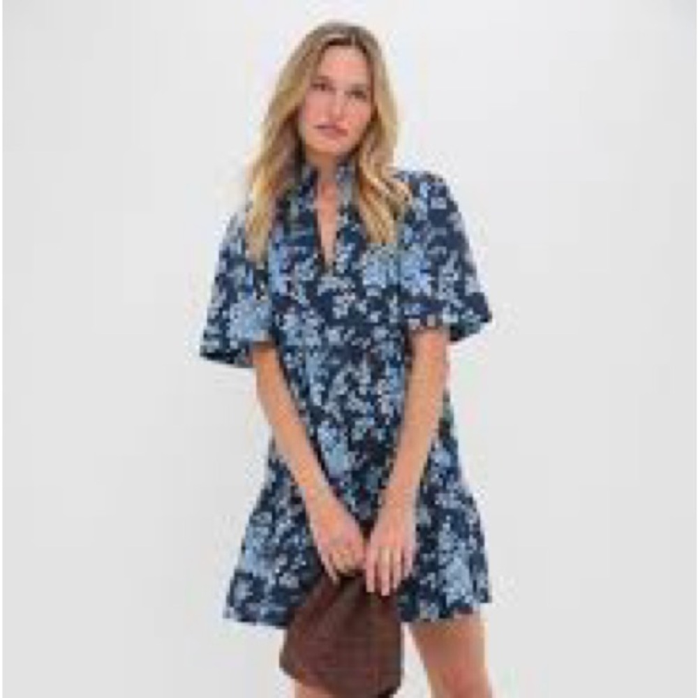 Tuckernuck Twilight Garden Crawford Dress size medium